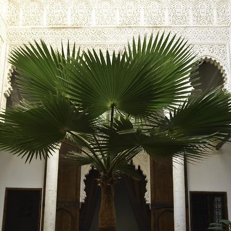 Riad Azahra 라바트 외부 사진