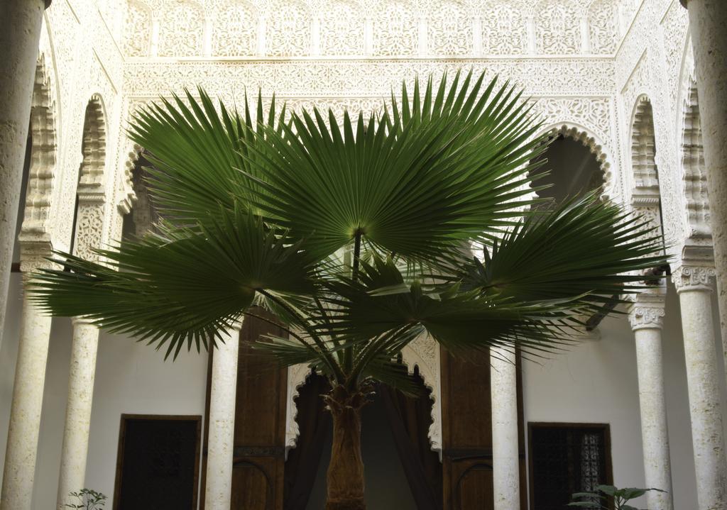 Riad Azahra 라바트 외부 사진